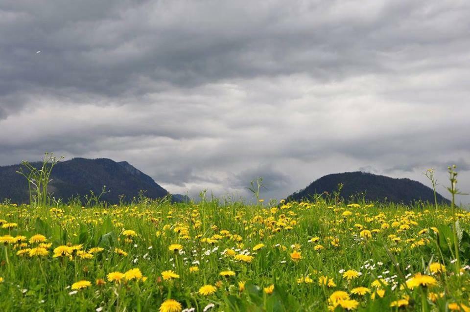 Greenheart Aussee Obersdorf Экстерьер фото